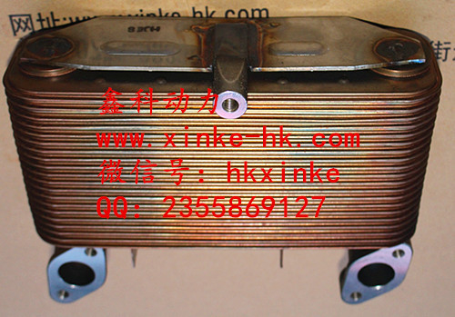 DOOSAN parts and DAEWOO parts,FUEL FITER FOR DOOSAN, 65.05510-5022B,400508-00093